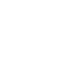 INS